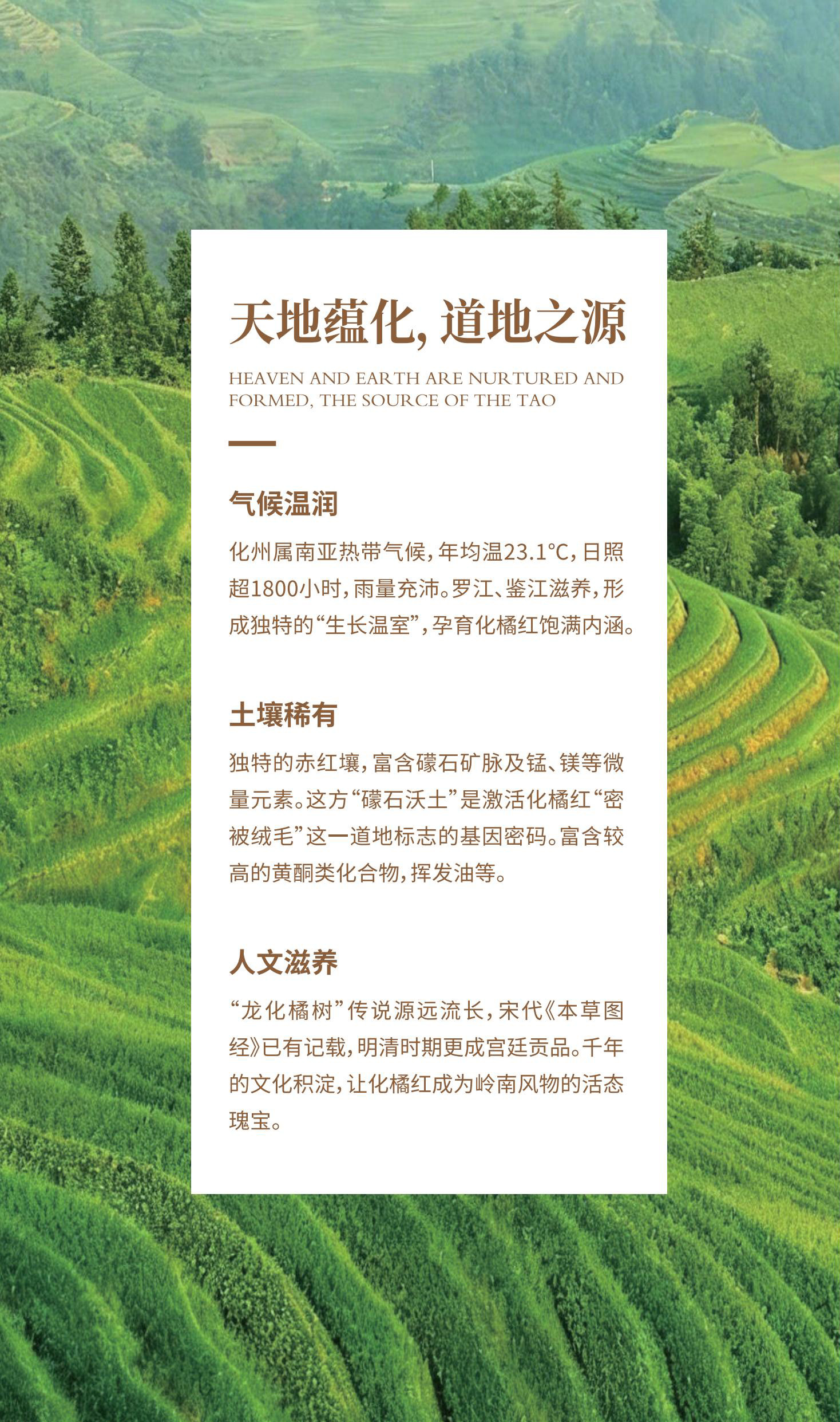 农夫子